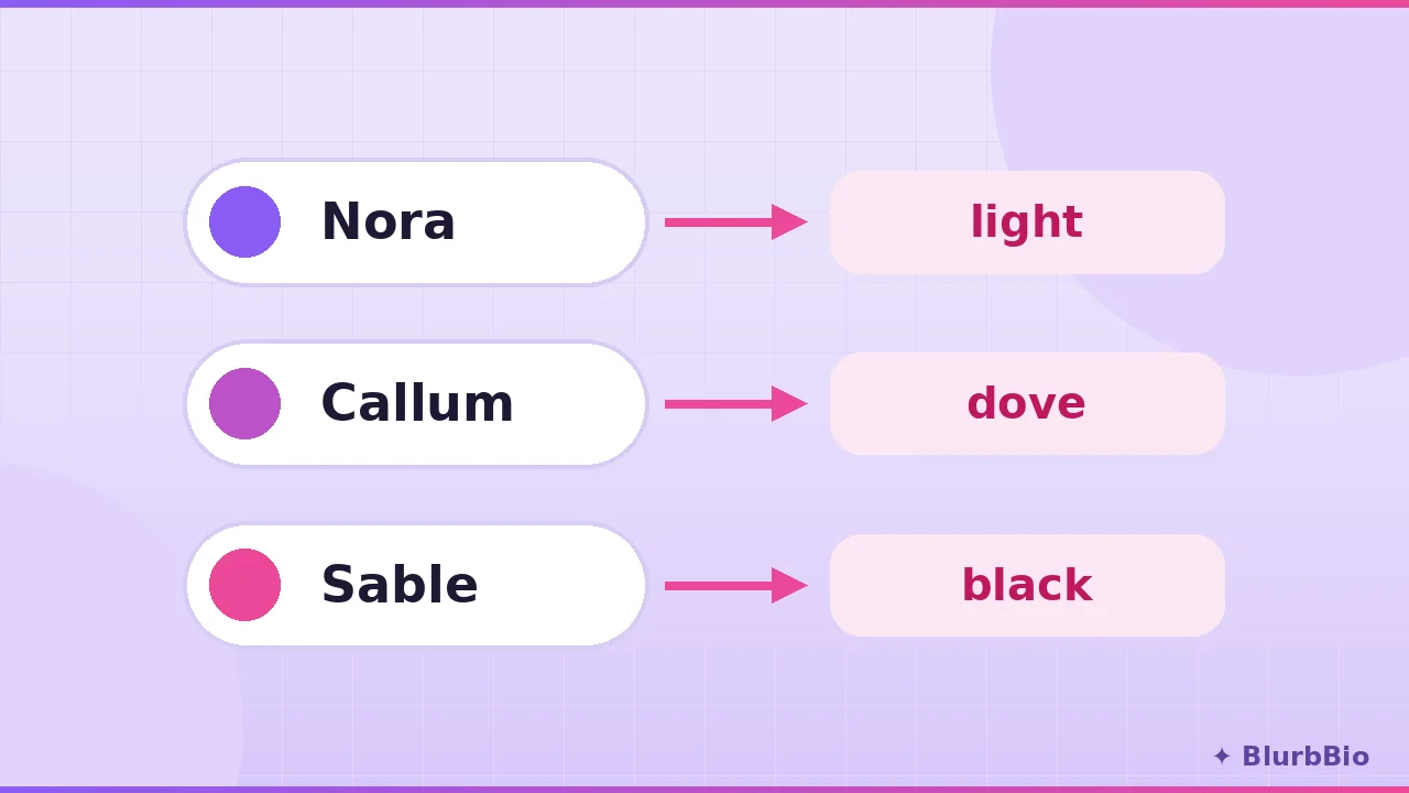 What Character Names Actually Mean: Patterns From 2,586 Curated Etymologies